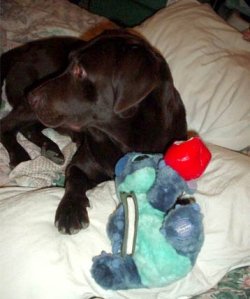 Prepárate para compartir TODO