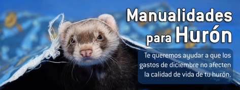 ¡Visítanos en Facebook! 