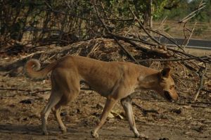 los parias de esta ciudad