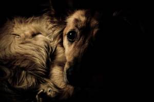 es sencillo culpar al que no habla