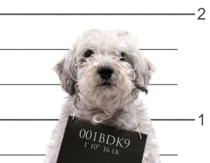 No lo culpes de tus errores