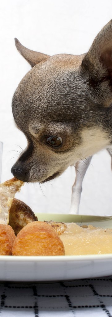 Si come bien, vive mucho