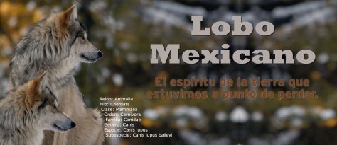 Versión Online de nuestro reportaje para Animalia 24