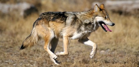 Huir de la ignorancia