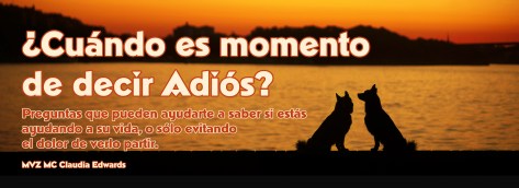 Una decisión por amor y honor