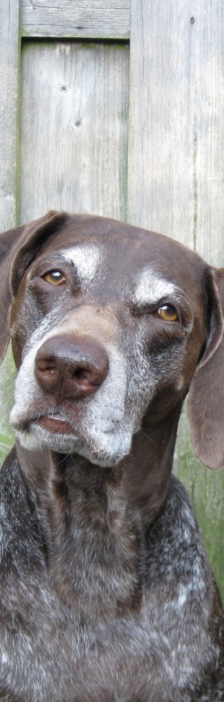 Responde objetivo...