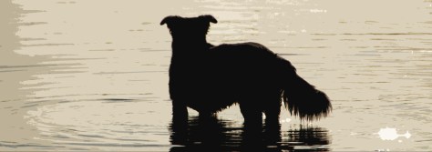 Su paz, deberá ser la tuya