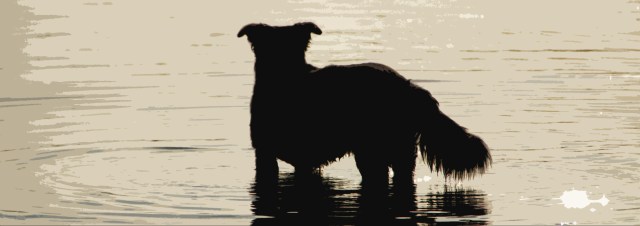 Su paz, deberá ser la tuya