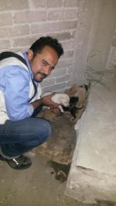 Los obedientes niños esperaban