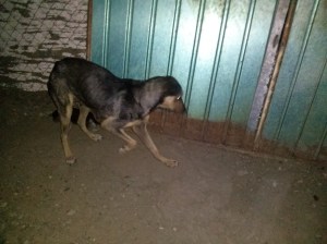 Y empezó la evaluación de la situación...