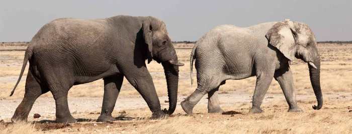 Que todos vivan así